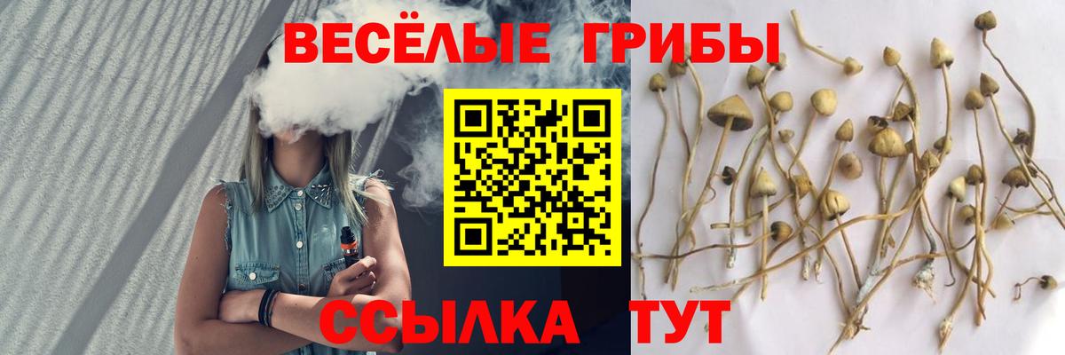 Галлюциногенные грибы мухоморы  Вход с VPN  дарнет шоп  Комсомольск-на-Амуре  Галлюциногенные грибы прущие грибы 